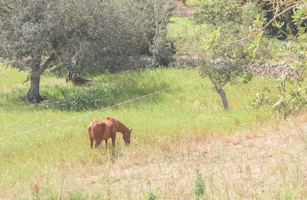 Finca Batlet S'Horta